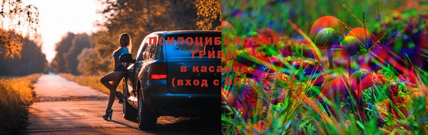 а пвп мука Михайлов