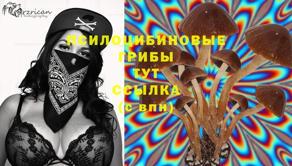 spice Михайловск
